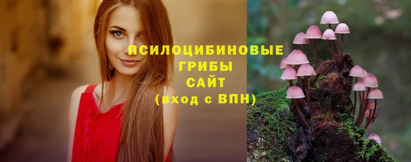 сатива Алексин