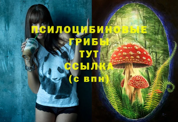 COCAINE Алексеевка