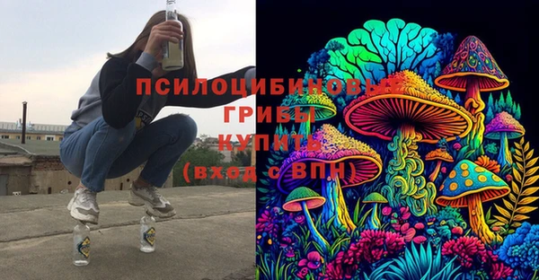 сатива Алексин