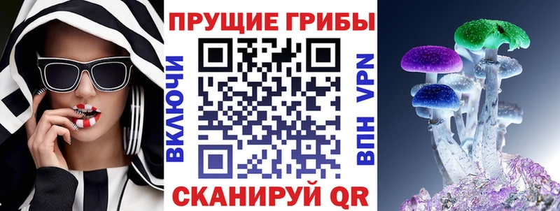 Галлюциногенные грибы Cubensis  купить наркотики цена  Алзамай 